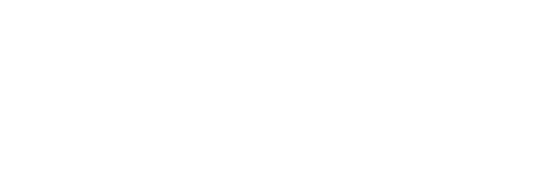Statesite Lending White Logo